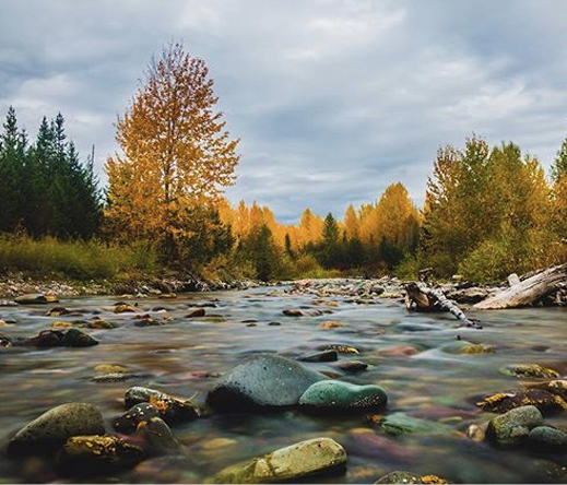 whitefish financial advisor